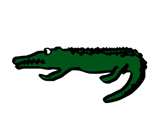 Krokodilas, Aligatorius, Animacinis Filmas, Biskajas Nacionalinis Parkas