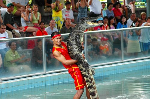 Krokodilų Juosta, Milijonų Metų Akmens Parkas, Tailandas