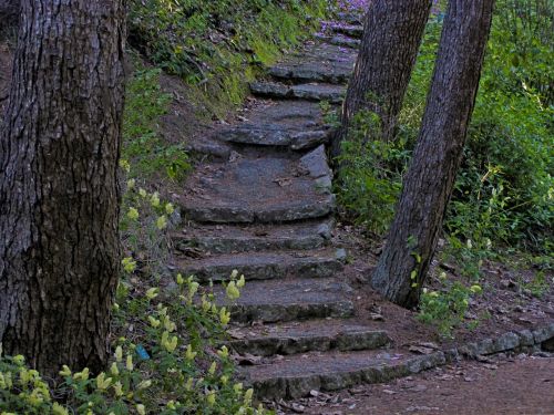 Žingsniai,  Kreivas,  Enchanted,  Miškas,  Medžiai,  Šlapias,  Tamsi,  Kelias,  Akmens & Nbsp,  Žingsniai,  Plokšti & Nbsp,  Uolos,  Pasukti & Nbsp,  Akmenis,  Klaidingų Žingsnių Per Medžius