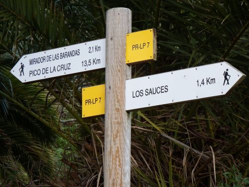 Kryžkelės Ženklas,  Llano Clara,  San Andrés Y Sauces,  La Palma,  Cc0,  Be Honoraro Mokesčio