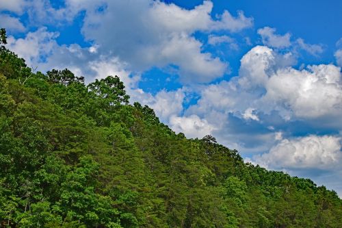 Kupoliniai Debesys Virš Medžių, Tennessee, Usa, Medžiai, Augalas, Debesys, Upė, Gamta, Kraštovaizdis