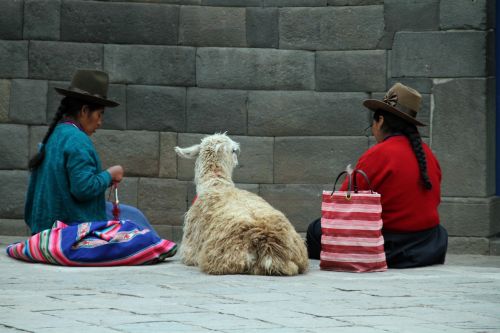 Cusco, Peru, Andes, Cuzco, Kelionė, Turistinis, Gatvė, Turizmas, Peru, Inca, Moterys, Lama