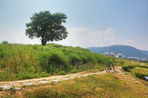 Mielas, Ištraukos, Gamta