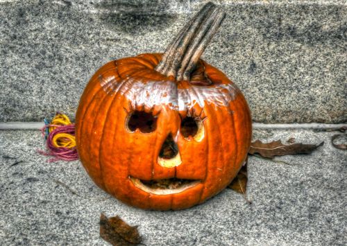 Halloween,  Moliūgas,  Moliūgas Žibintas,  Raižyti,  Raižyti & Nbsp,  Moliūgų,  Mielas,  Mielas Jack-O-Žibintas