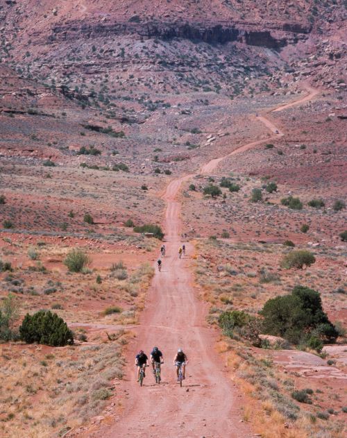 Dviračiu,  Dviratis,  Dviratininkas,  Dviračiu,  Lauke,  Poilsis,  Linksma,  Iššūkis,  Viešasis & Nbsp,  Domenas,  Canyonlands & Nbsp,  Nacionalinis & Nbsp,  Parkas,  Utah,  Usa,  Tapetai,  Fonas,  Kelias,  Neapsaugotas,  Purvas,  Širdies Ir Kraujagyslių Sistemos,  Pratimas,  Sveikas,  Dviračiu