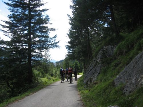 Dviračiu, Dviratis, Transalpos, Sportas