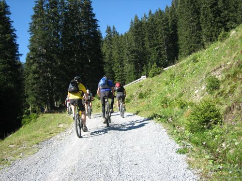 Dviračiu, Dviratis, Transalpos, Sportas