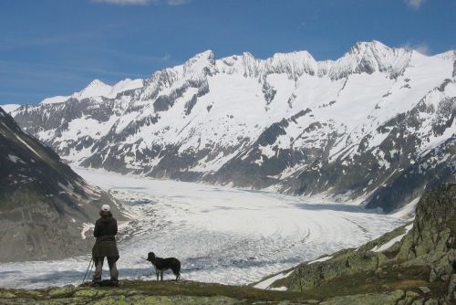 D Aletsch Ledynas, Kalnas, Šveicarija, Moteris Su Šunimi, Aukščiausiojo Lygio Susitikimas, Vaizdas, Kraštovaizdis, Sniegas