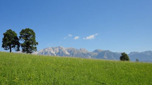Dachsteinas, Enstal, Ramsau, Vasara, Pieva, Kraštovaizdis, Austria, Alpių, Kalnai