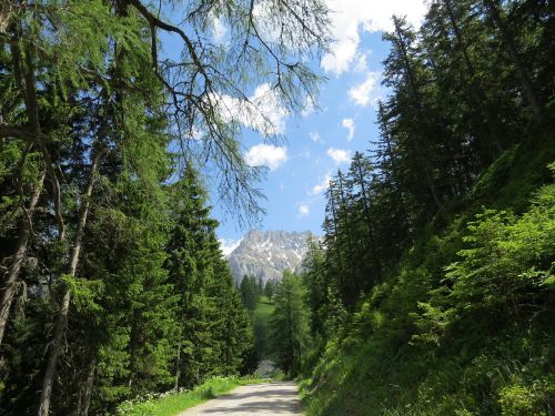 Dachsteinas, Austria, Miškas, Gamta, Kalnai, Žygiai, Žalias