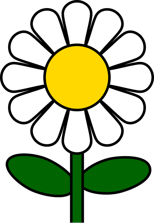 Daisy, Gėlė, Augalas, Gamta, Nemokama Vektorinė Grafika
