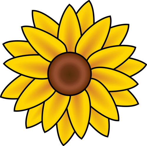 Daisy, Gėlė, Geltona, Žiedas, Flora, Grožis, Nemokama Vektorinė Grafika