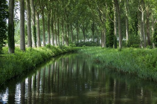 Damie Bruges, Kanalas, Šviesa, Gamta