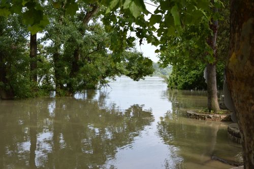 Danube, Mediena, Šešėlis