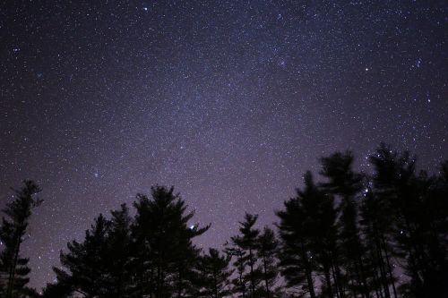 Tamsi, Gamta, Naktis, Siluetas, Dangus, Žvaigždės, Medžiai