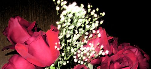 Gėlė,  Verslas,  Gamta,  Tamsi Fone & Amp,  Raudonos Rožės
