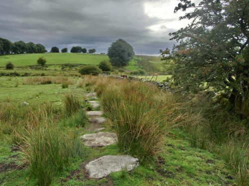 Dartmoor, Anglija, Jungtinė Karalystė, Devon, Kraštovaizdis, Kiauras, Nacionalinis Parkas, Toli