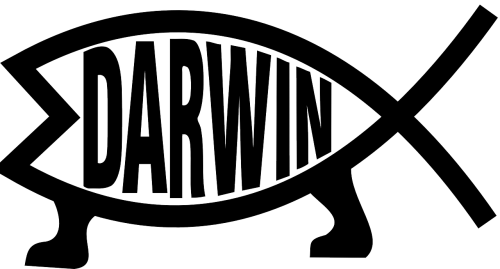 Darvilas, Žuvis, Evoliucija, Nemokama Vektorinė Grafika
