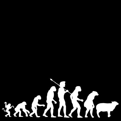 Piešimas,  Darvilas,  Evoliucija,  Balta,  Grandinė,  Skaičiai,  Pasirinkimas,  Mokslininkas,  Teorija,  Anglų,  Natūralus,  Juoda,  Fonas,  Beždžionės,  Žmogus,  Darvino Evoliucija