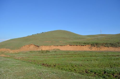 Dashanbao, Prairie, Žalias