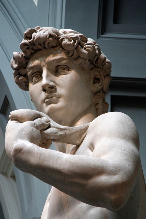 David, Michelangelo, Florencija, Skulptūra, Italy, Marmuras, Kūnas, Patinas, Turizmas, Senovinis, Raumeningas, Galva, Šedevras, Statula