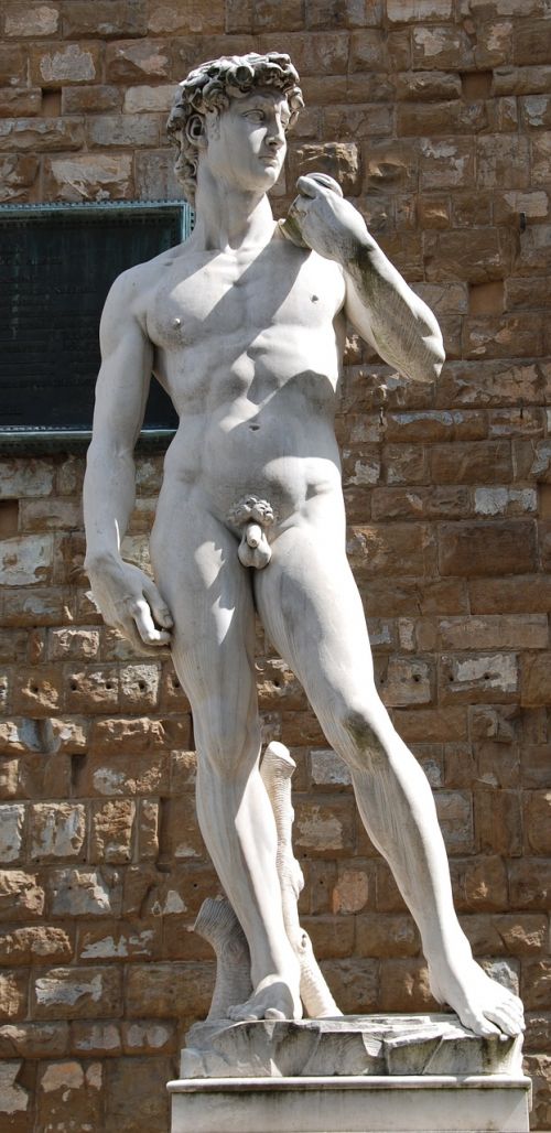 David, Michelangelo, Florencija, Statulos