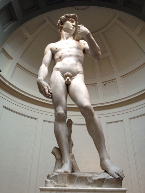 David, Florencija, Toskana, Michelangelo