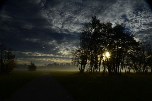 Aušra, Parkas, Medžiai, Monza Parkas, Šviesa, Siluetai, Monza