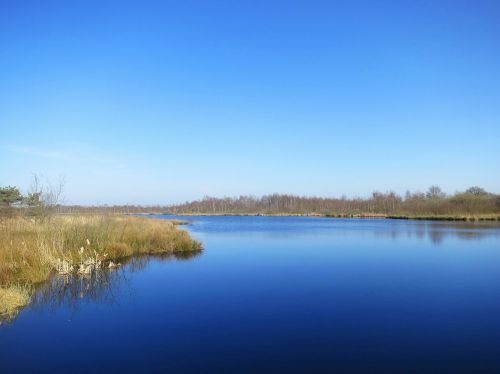 De Grotelės Žievelės, Gamtos Rezervatas, Noord Limburg, Nyderlandai
