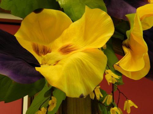 Gėlės,  Geltona,  Dekoruoti,  Pavasario Dekoras (5)