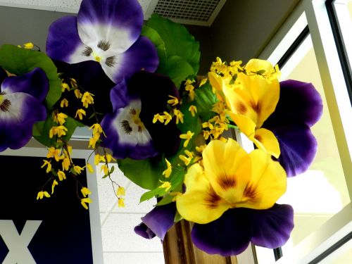 Gėlės,  Violetinė,  Geltona,  Dekoruoti,  Pavasario Dekoras (7)