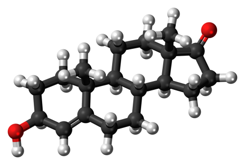 Dehidroepiandrosteronas,  Steroidas,  Molekulė,  Chemija,  Atomai,  Modelis,  Bondings,  Tyrimai,  Junginys
