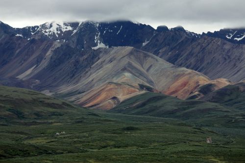 Denali, Alaska, Gamta, Kraštovaizdis