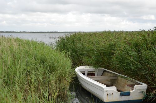 Denmark, Nissum Fjord, Gamta, Kraštovaizdis