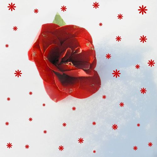 Scrapbooking,  Fonas,  Popierius,  Gėlė,  Sniegas,  Gėlės Ant Sniego # 2