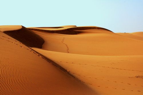 Dykuma, Afrika, Beduinas, Pėdsakai, Smėlis