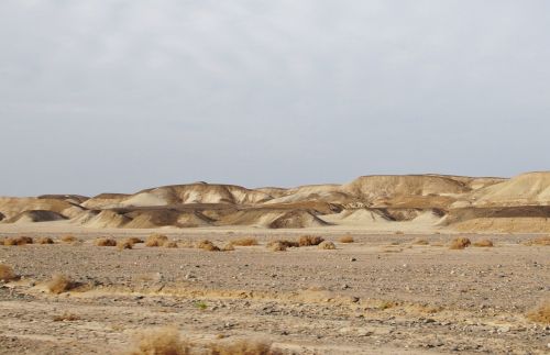 Dykuma, Egiptas, Smėlis, Kopos