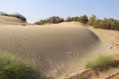 Dykuma, Smėlis, Jeddah, Gamta, Saudo Arabija