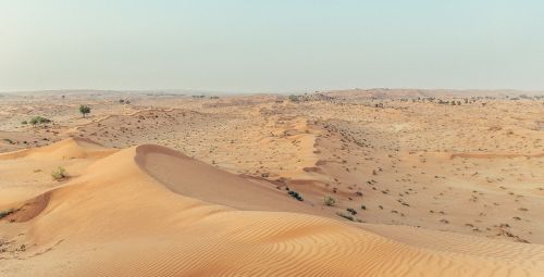 Dykuma, Smėlis, Kopos, Emiratai, Gamta