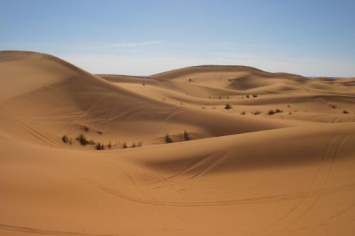 Dykuma, Marokas, Sahara, Smėlis