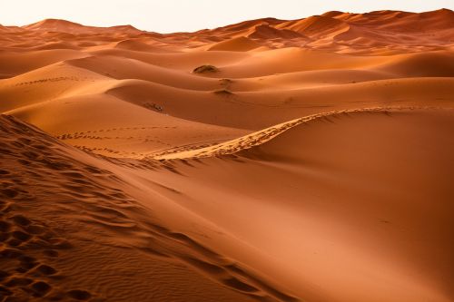 Dykuma, Marokas, Smėlio Kopa, Sausas, Kraštovaizdis