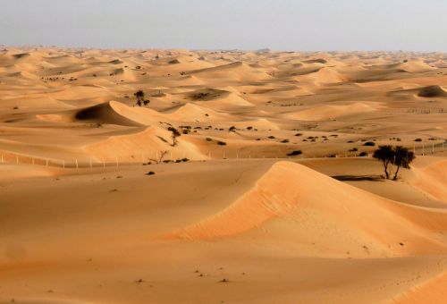 Dykuma, Kraštovaizdis, Sausra, Smėlis, Emiratai