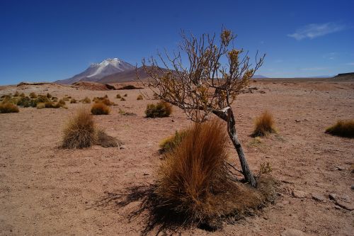 Dykuma, Bolivija, Kraštovaizdis, Backpacker, Salar, Kelionė, Uyuni