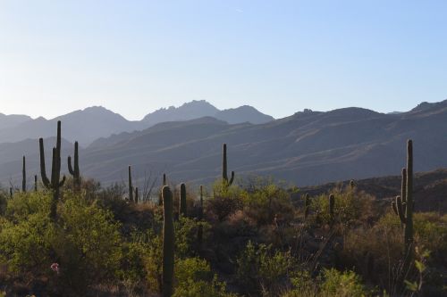 Dykuma, Kraštovaizdis, Saguaro, Gamta, Kalnas, Dykumos Kraštovaizdis, Arizona, Kaktusas, Tucson