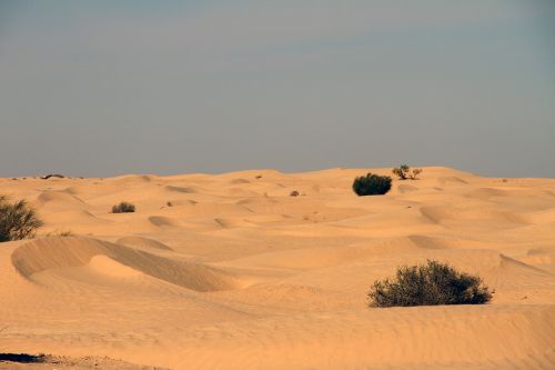 Dykuma, Tunisas, Gamta, Kraštovaizdis, Smėlis
