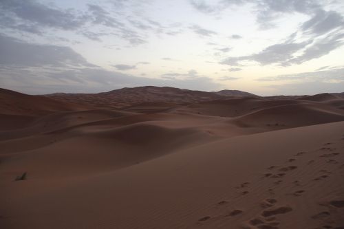 Dykuma, Sahara, Marokas