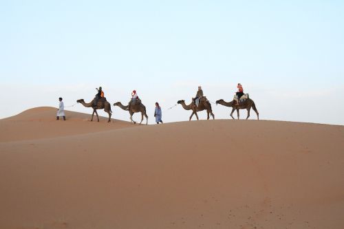Dykuma, Sahara, Marokas
