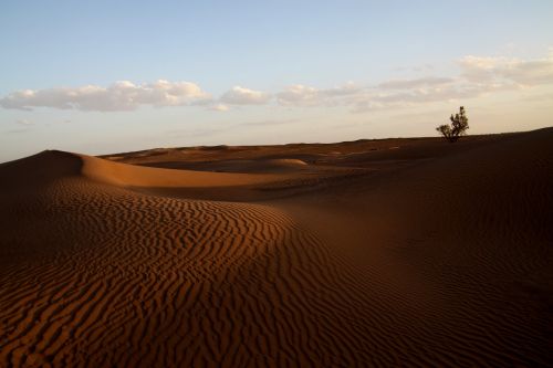 Dykuma, Marokas, Afrika, Smėlis, Kopos, Gamta