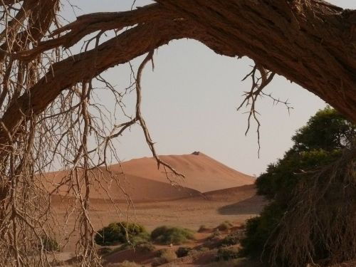 Dykuma, Sahara, Namibija, Sausra, Soussosvlei, Smėlis, Kopos