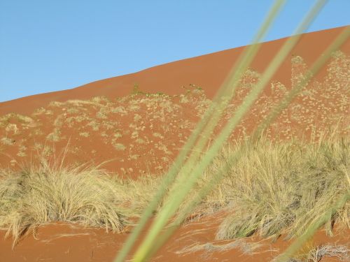 Dykuma, Namib, Namibija, Kraštovaizdis, Smėlis, Sossusvlei